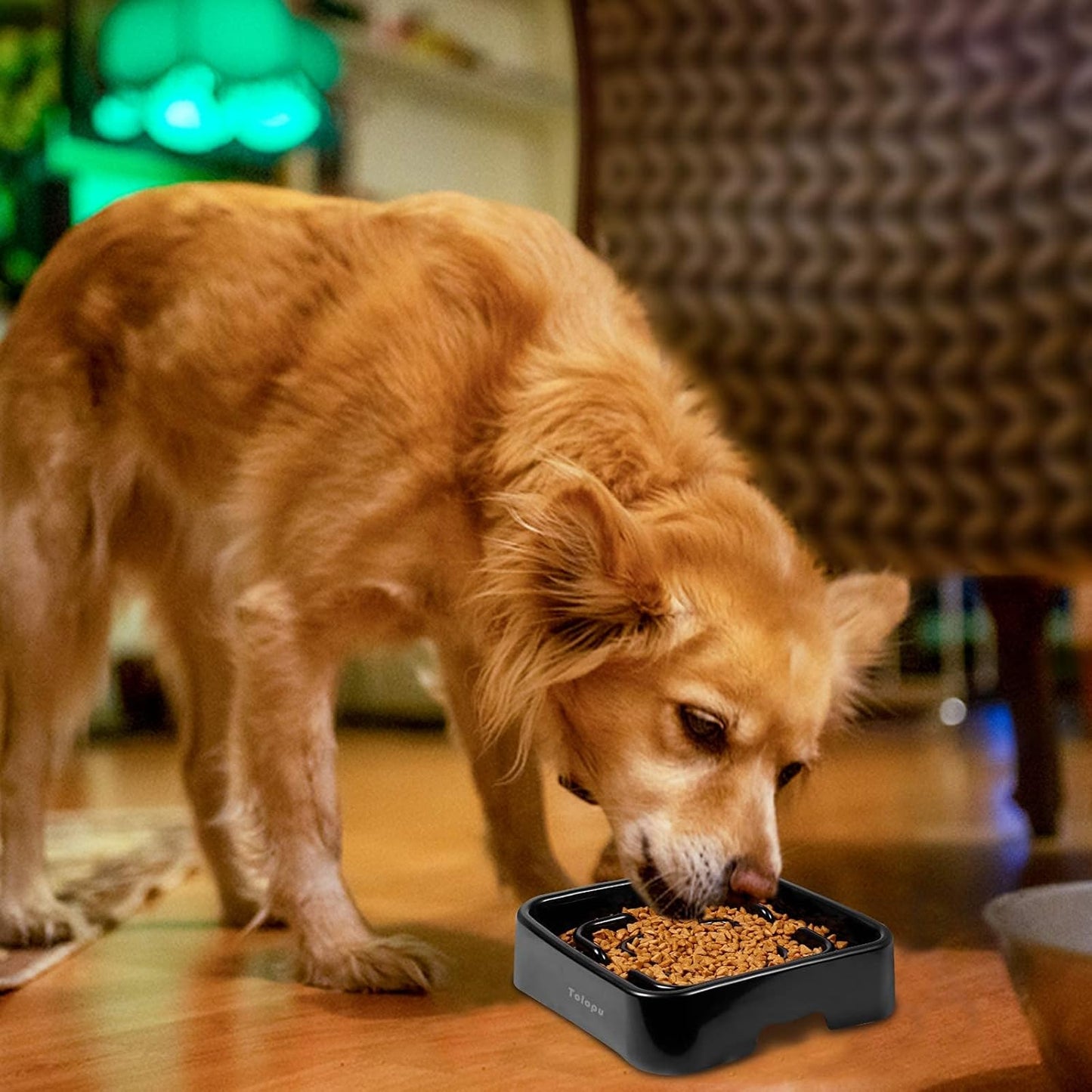 Extra-Large Slow Feeder Dog Bowls(10 Cups Capacity)