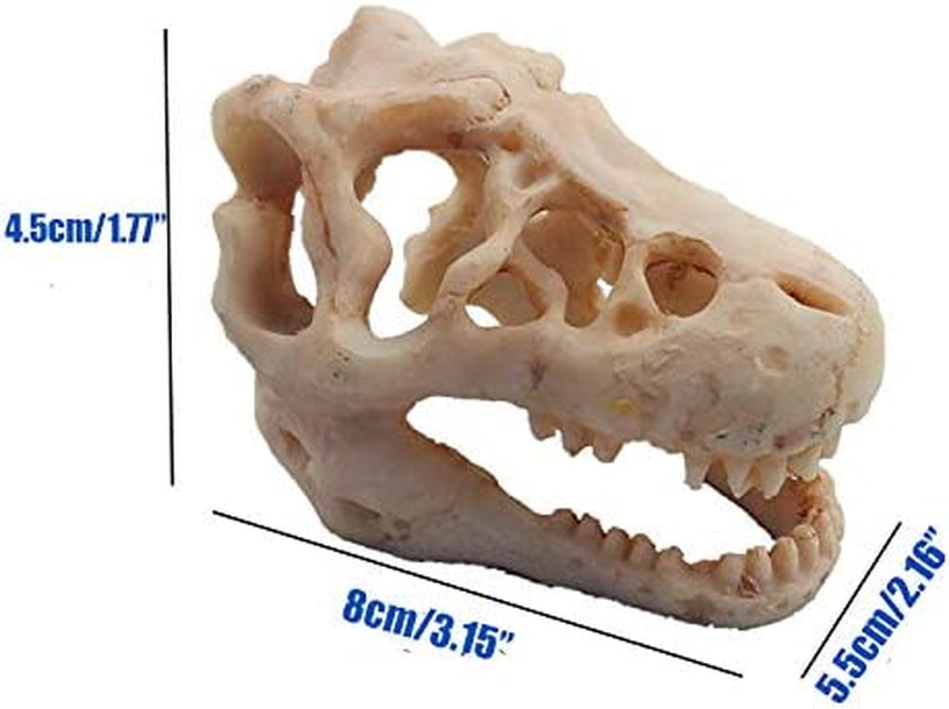 Mini Resin Dinosaur Skull Aquarium Ornament