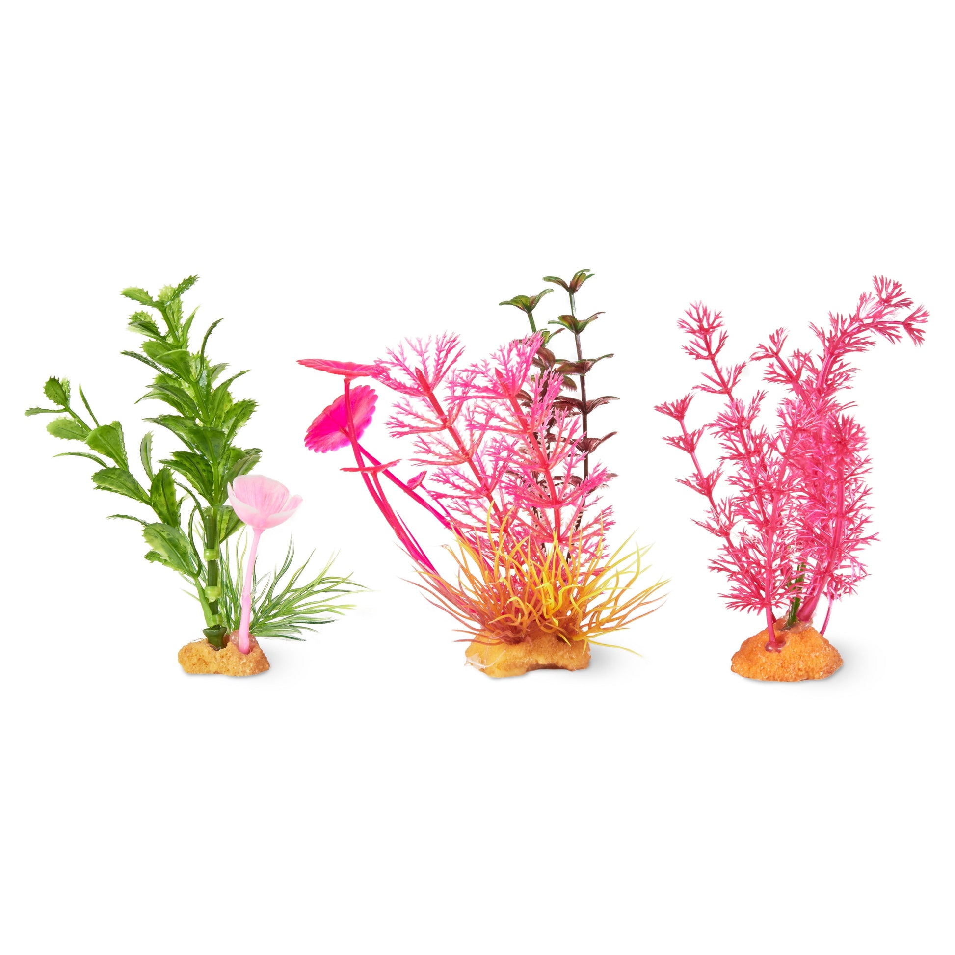 Aquarium Plant Value Pack, 4" Small Plants, 3 Count