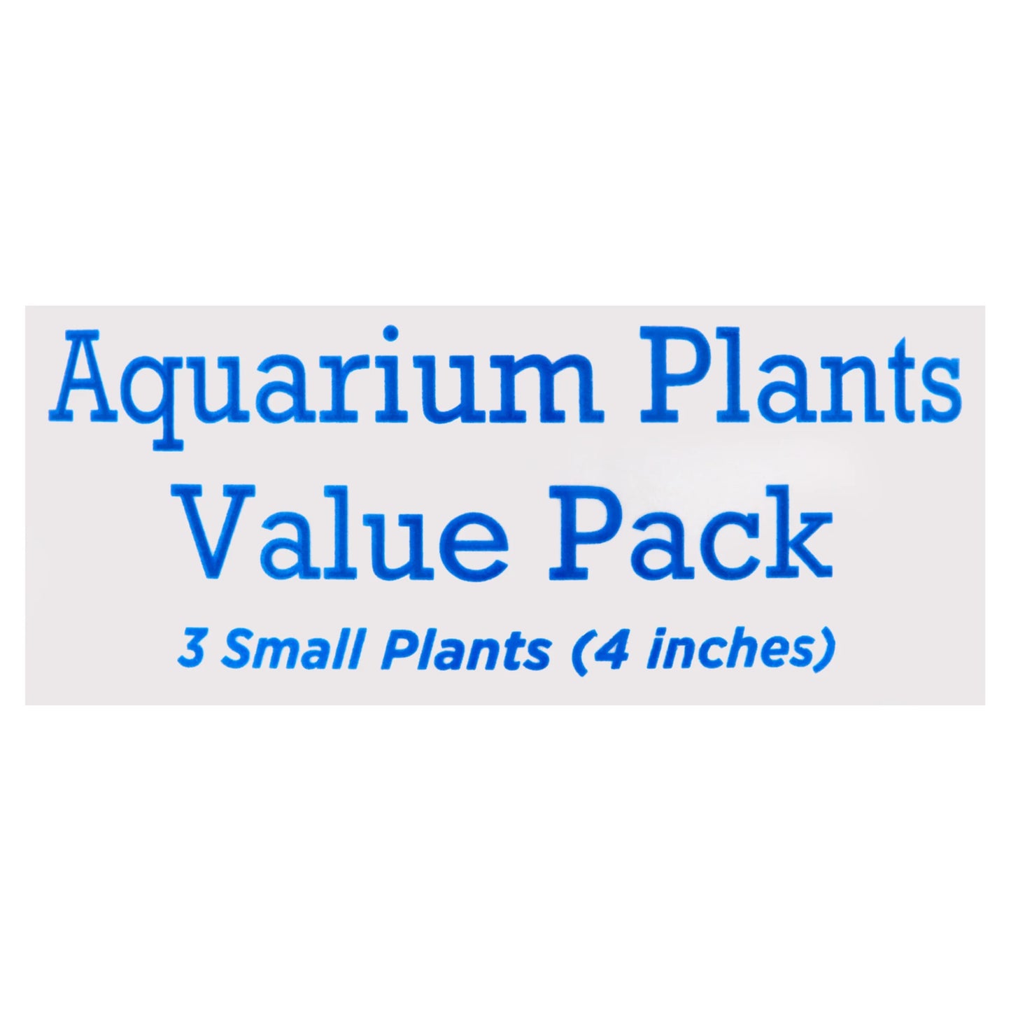 Aquarium Plant Value Pack, 4" Small Plants, 3 Count