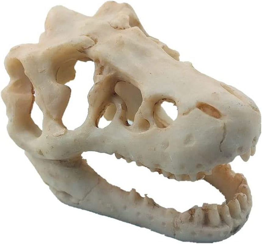 Mini Resin Dinosaur Skull Aquarium Ornament