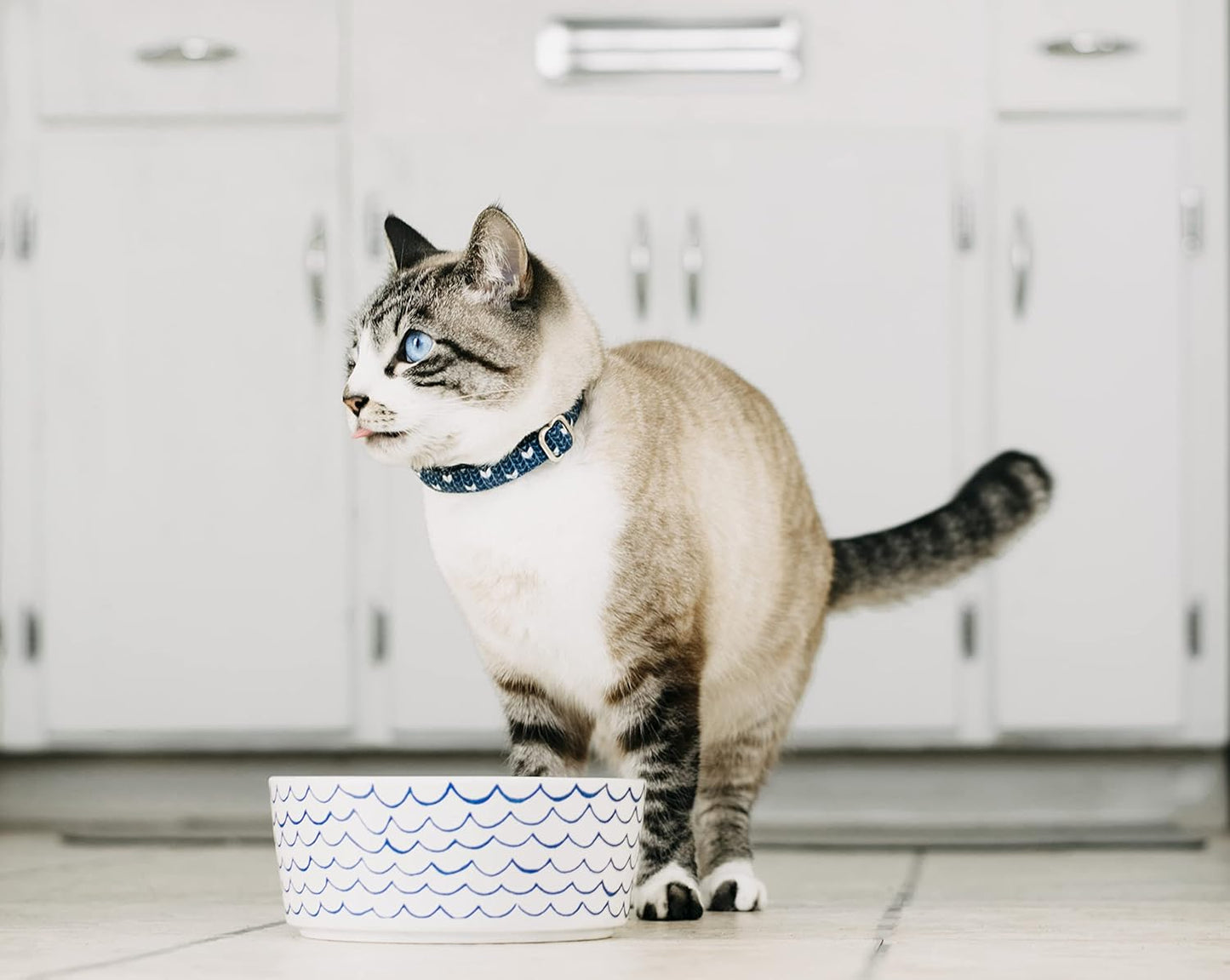 Sketched Wave Ceramic Dog Bowl Blue/White (Medium)