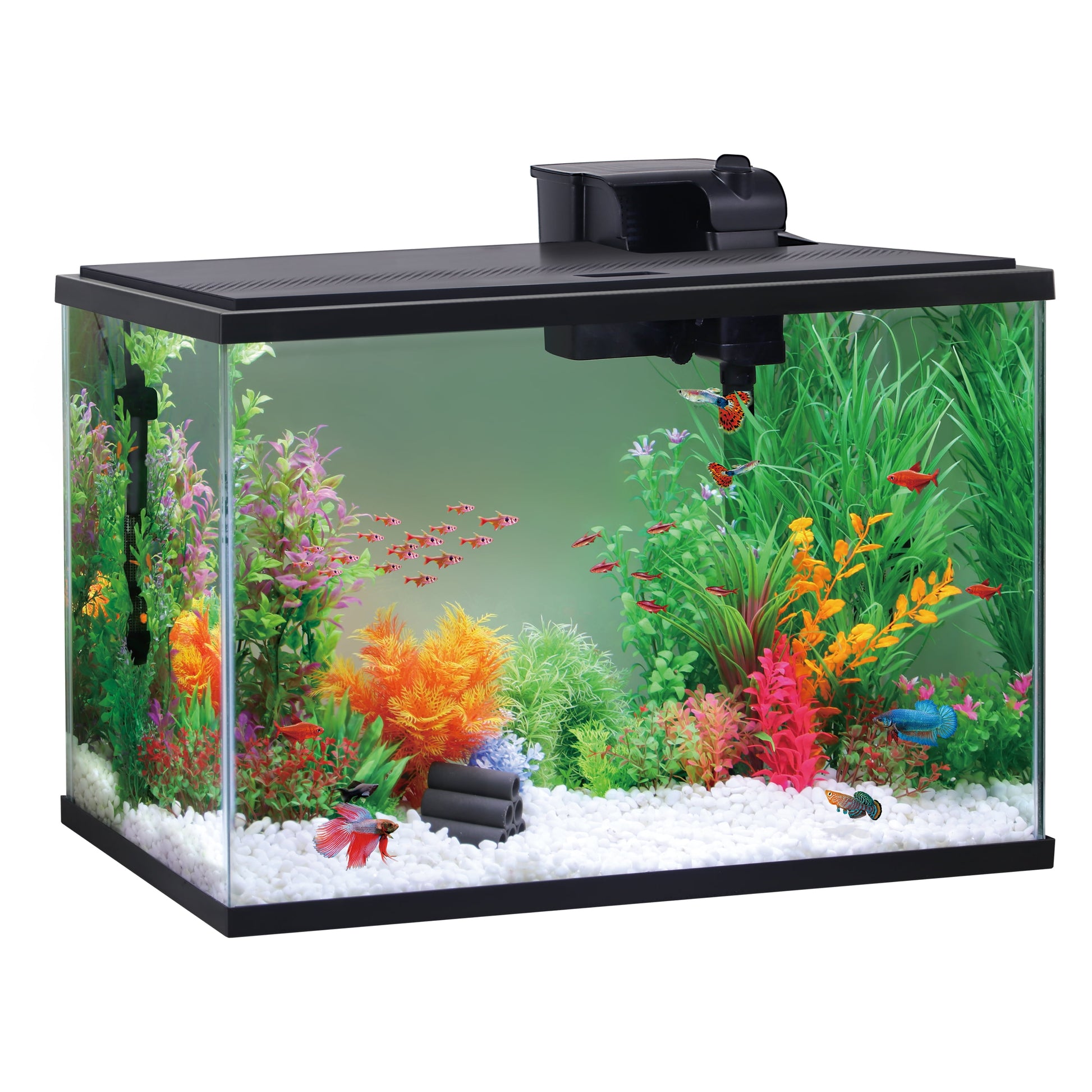 Glass 29 Gallon Aquarium Starter Kit, Black, 30.2''L X 12.44''W X 21.18''H