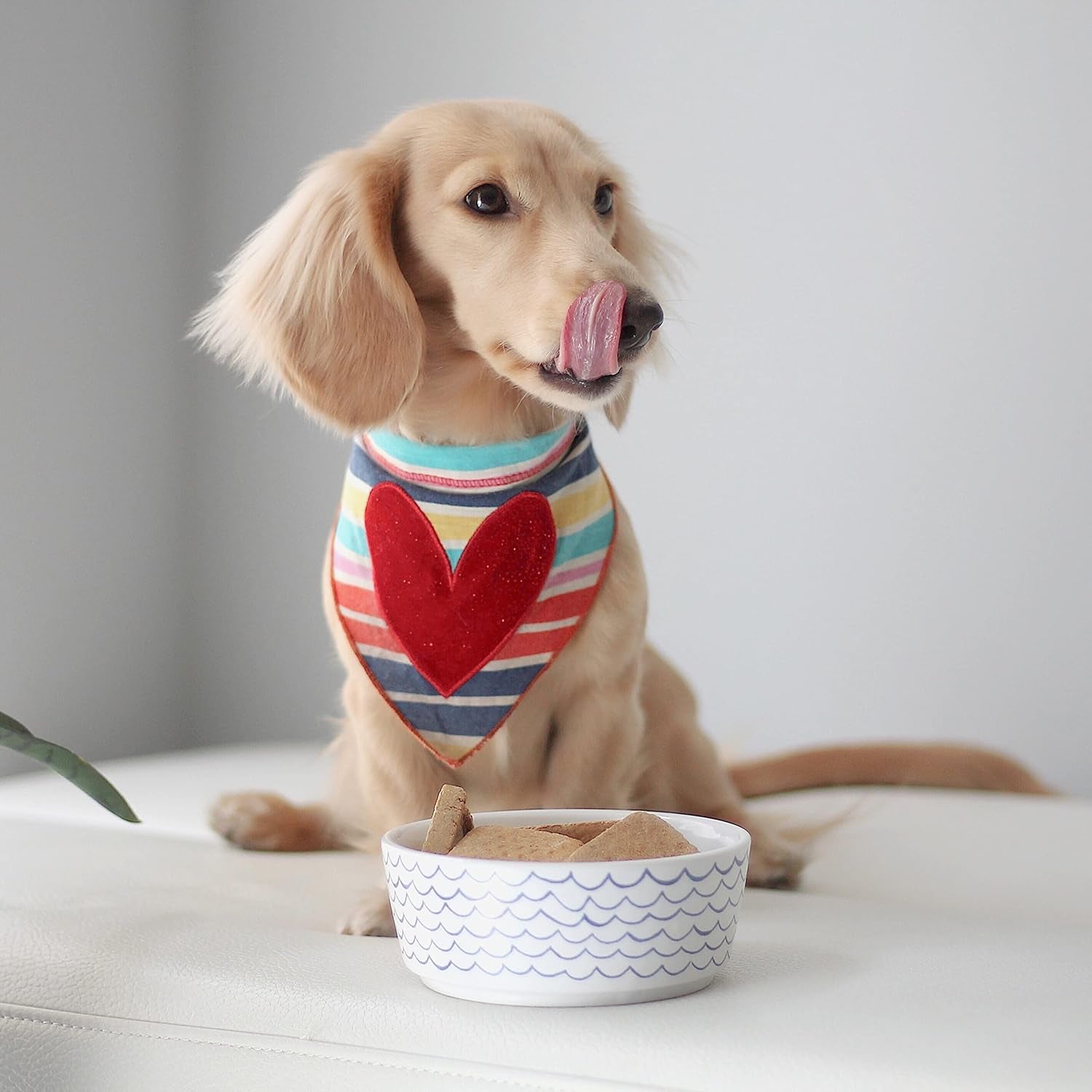 Sketched Wave Ceramic Dog Bowl Blue/White (Medium)