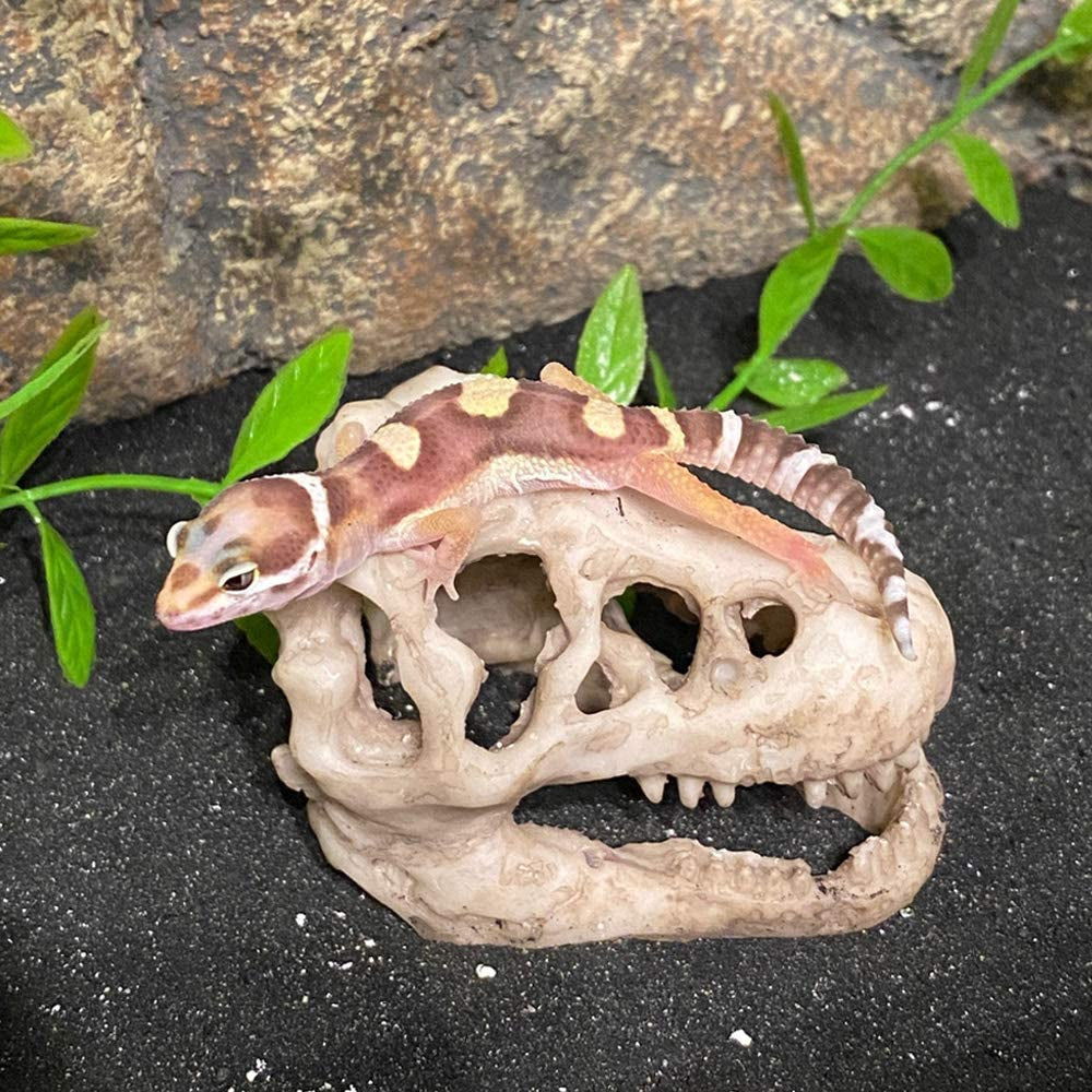 Mini Resin Dinosaur Skull Aquarium Ornament