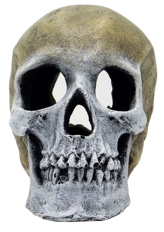 Human Skull Aquarium Structure - Gray