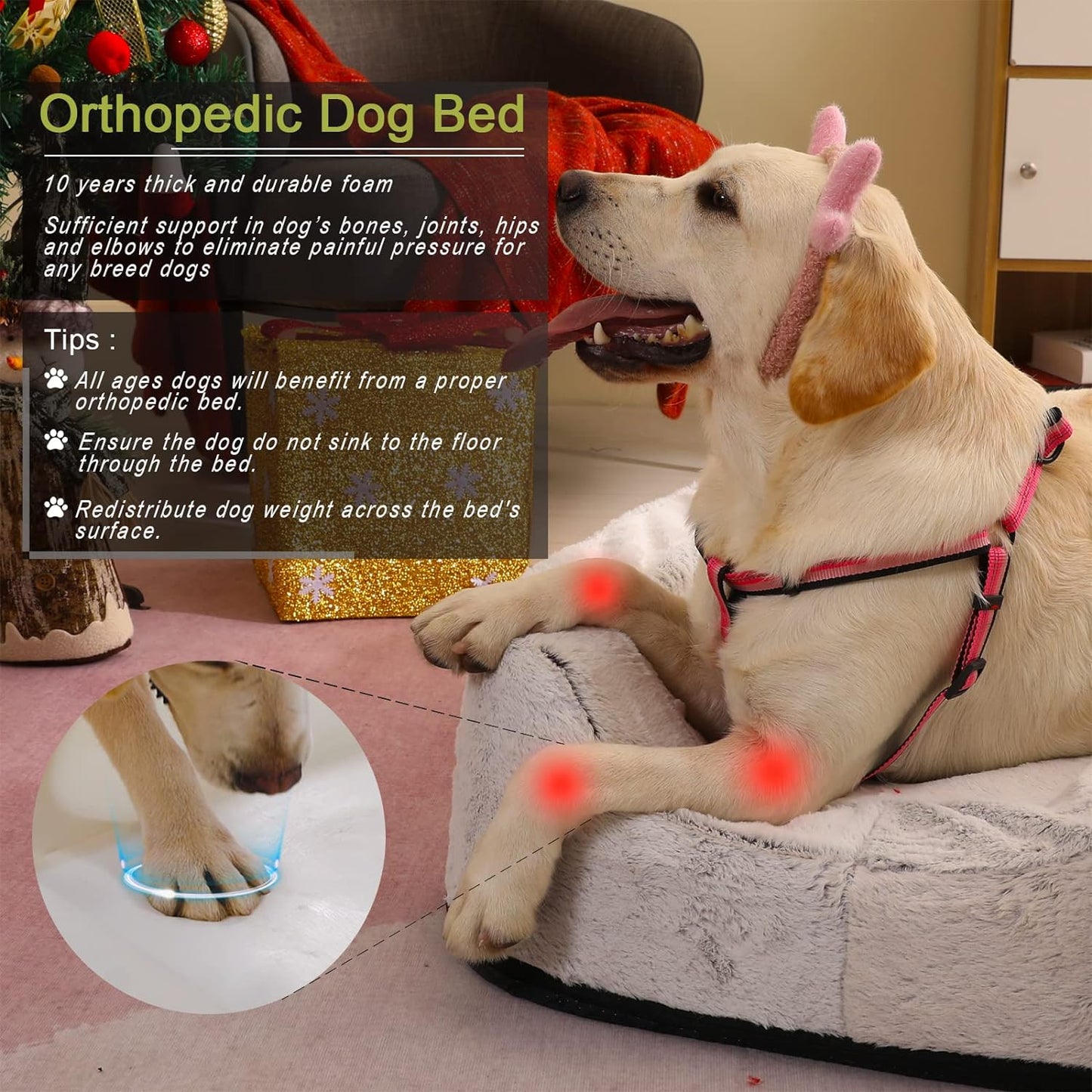  Adjustable Orthopedic Dog Bed for Medium and Large Dogs