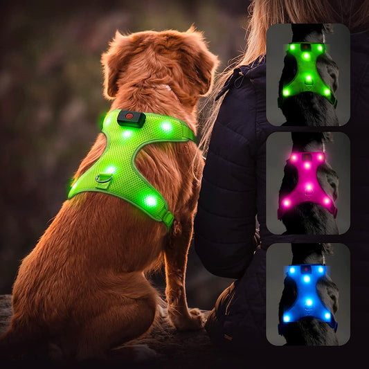 LED Dog Harness, Lighted up USB Rechargeable Pet Harness, Illuminated Reflective Glowing Dog Vest Adjustable Soft Padded No-Pull Suit for Small Medium Large Dogs (Green, S)