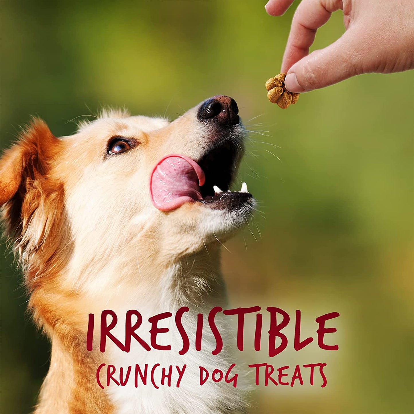 Greek Yogurt Dog Treats – Healthy Dog Treats – Yogurt Treats for Dogs - Strawberry and Pumpkin Flavor – 7 Ounces