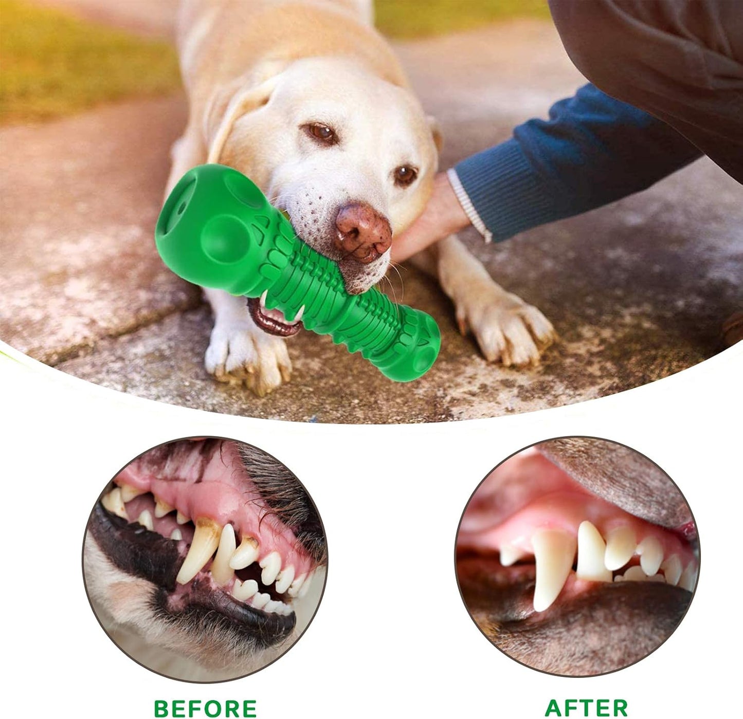 Indestructible Tough Durable Dog Chew=Green-Large/Medium Dogs 